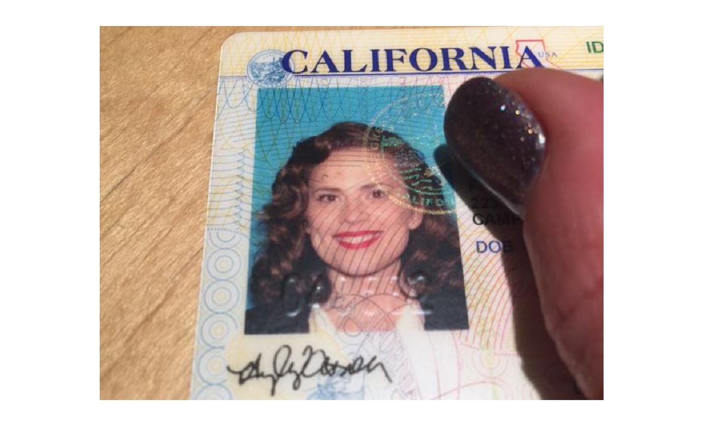 Celebrity Drivers License