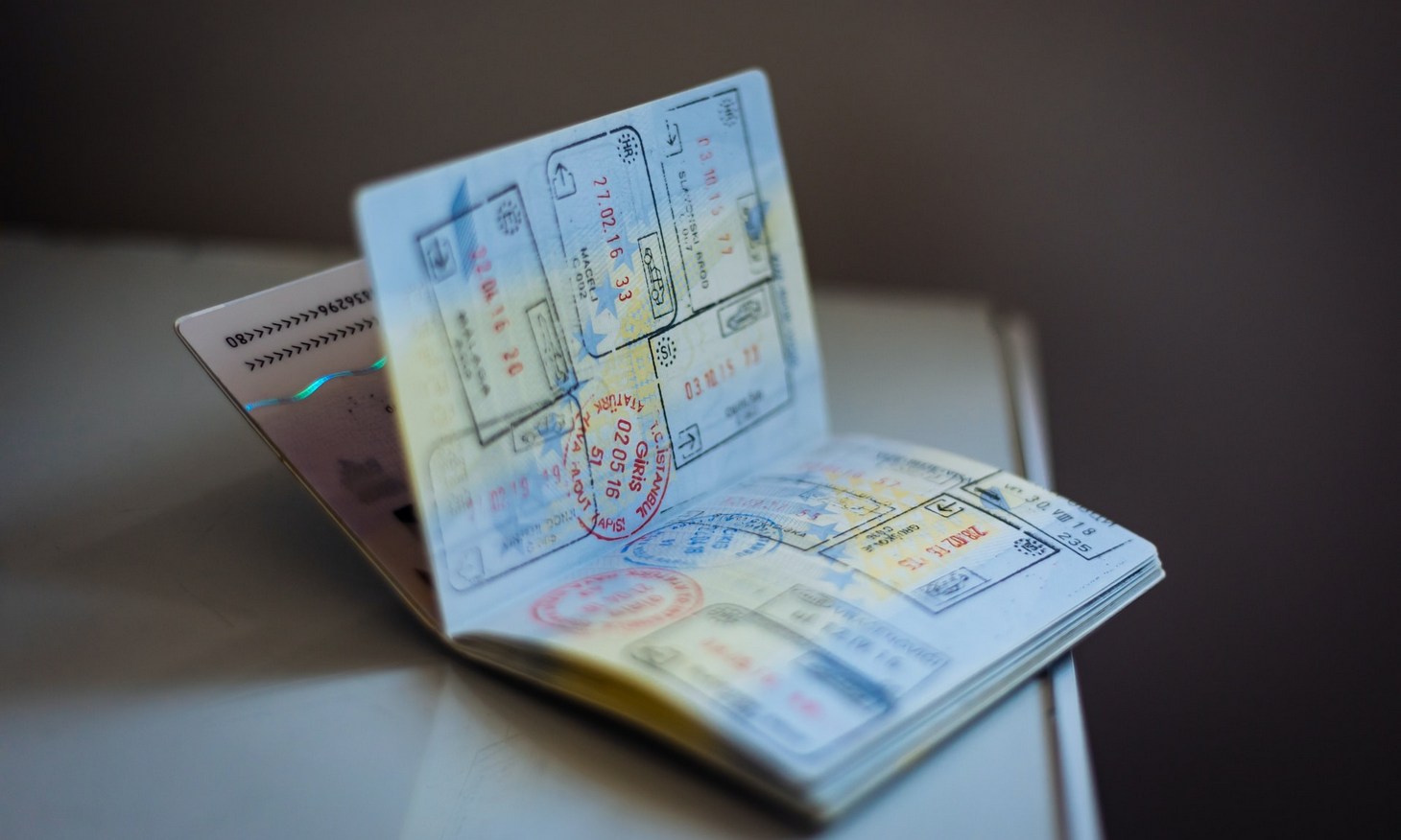 What Is a Passport Biographic Page in 2024? 