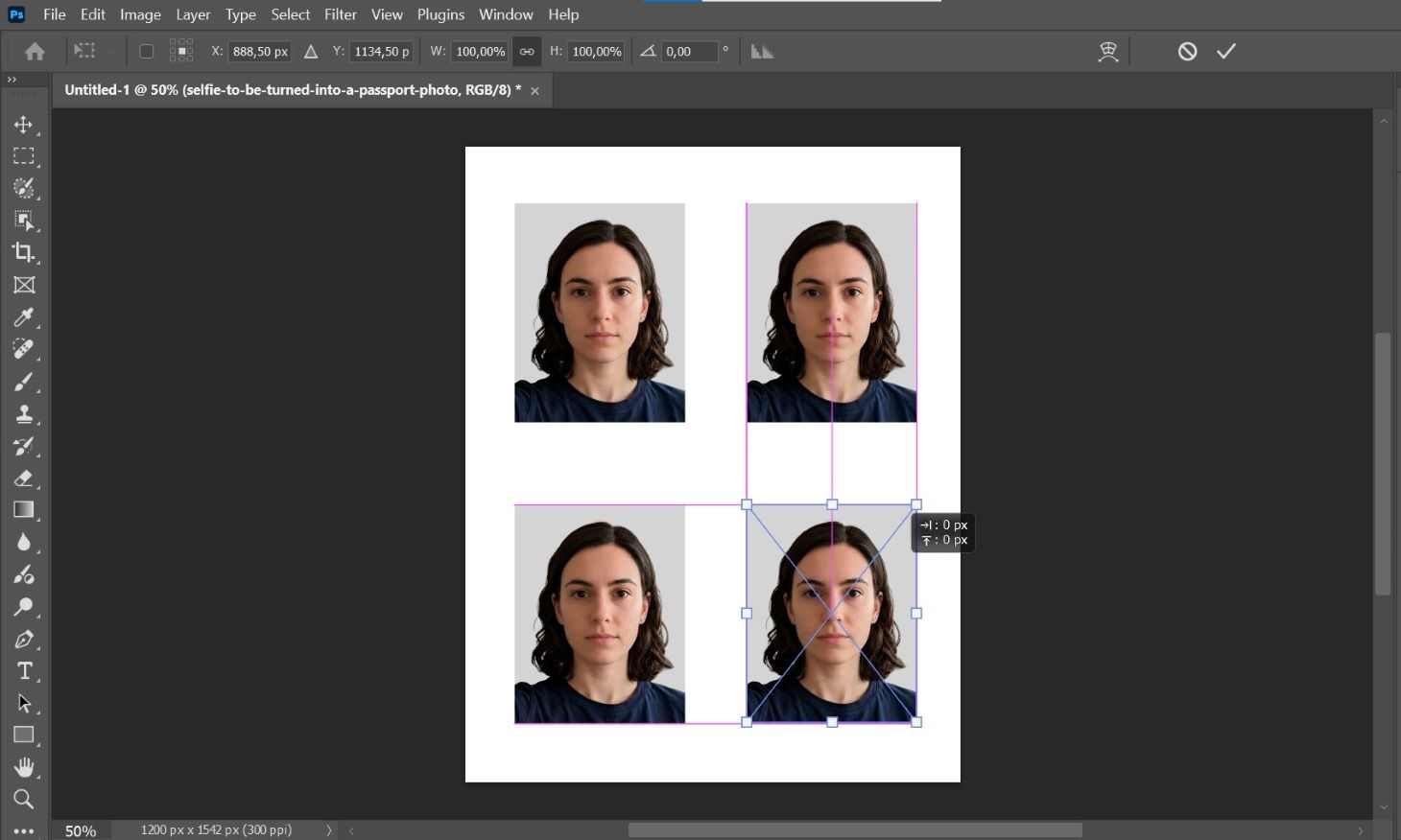 embedding passport photos into a template