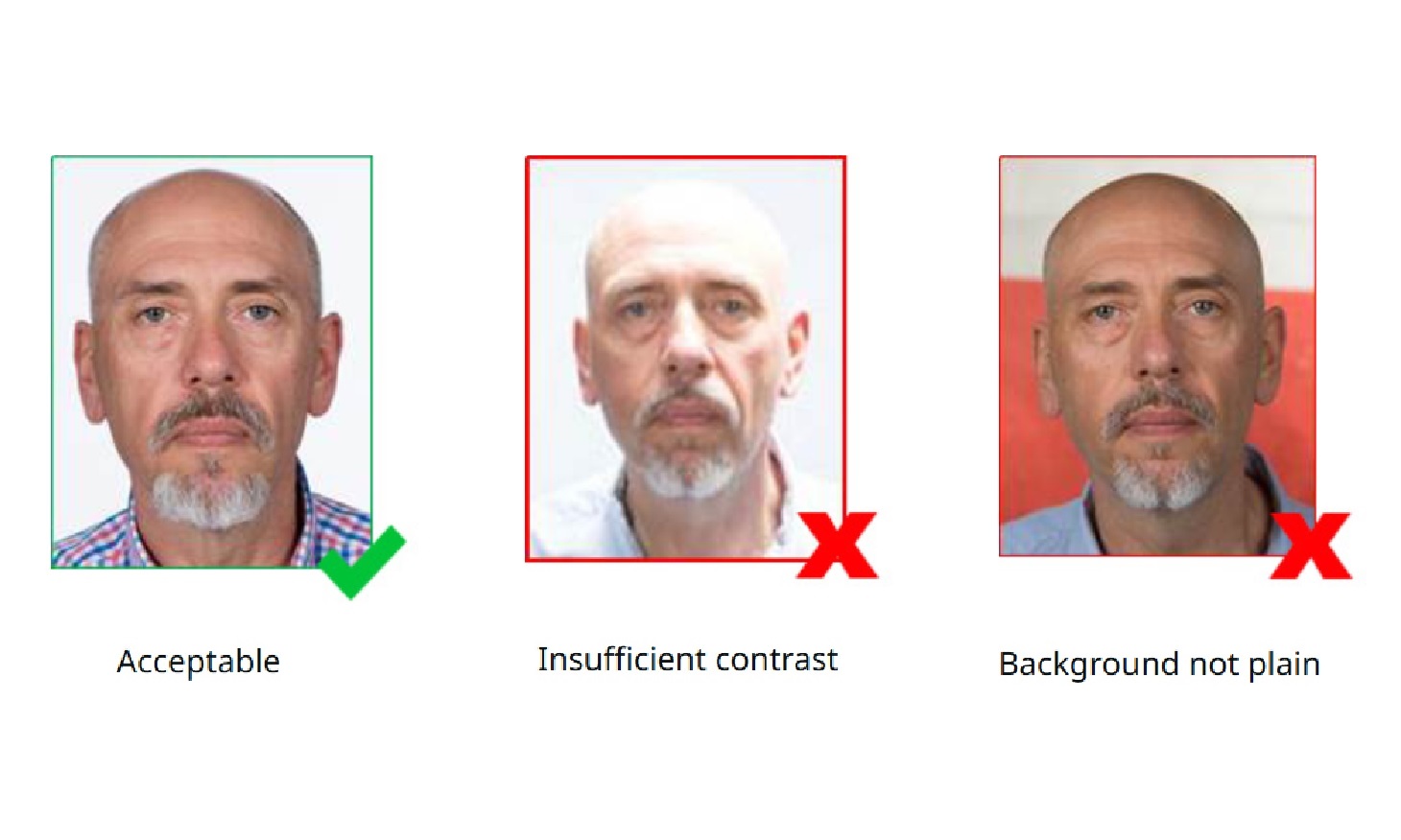 examples of one correct photo and two incorrect photos (with insufficient contrast and non-plain background)